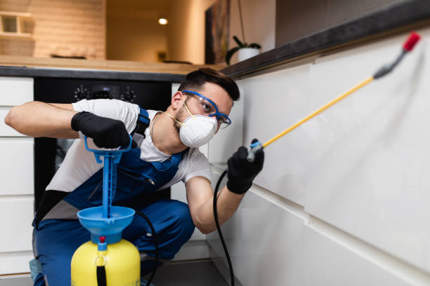 Professional Pest Control in Gordon, GA