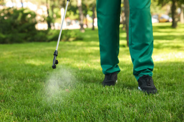 Best Mosquito Control Services  in Gordon, GA