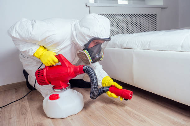 Best Affordable Pest Control Services  in Gordon, GA