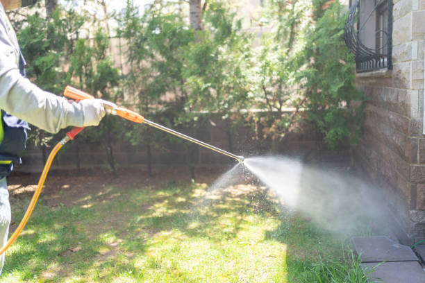 Best Affordable Pest Control Services  in Gordon, GA