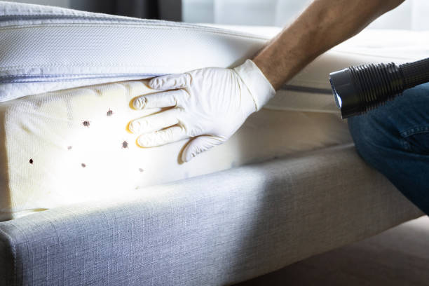 Best Residential Pest Control  in Gordon, GA