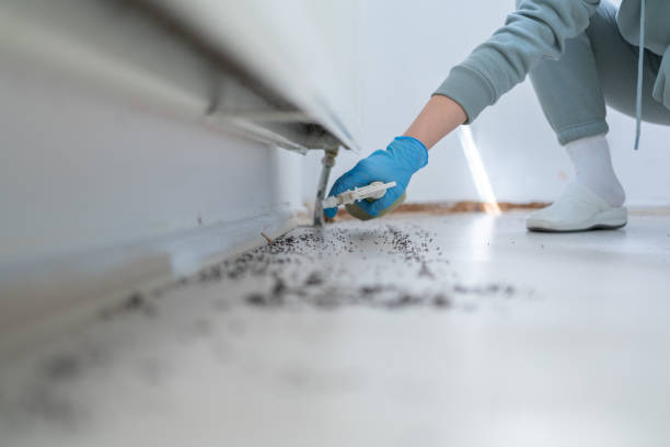 Best Pest Inspection Near Me  in Gordon, GA